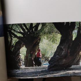 Der POTALA-PALAST波塔拉宫殿（英文原版）