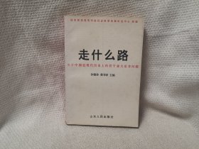走什么路:关于中国近现代历史上的若干重大是非问题 历史书籍