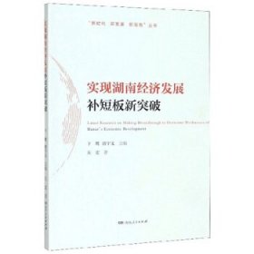 实现湖南经济发展补短板新突破/“新时代新发展新湖南”丛书