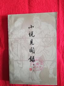 小说见闻录