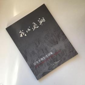 我心飞翔:[中英文本]:邵永平摄影作品集【邵永平 本人签名本】