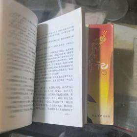 沉剑飞龙记  上下册