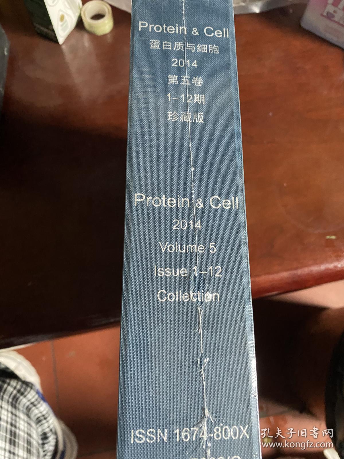 Protein cell