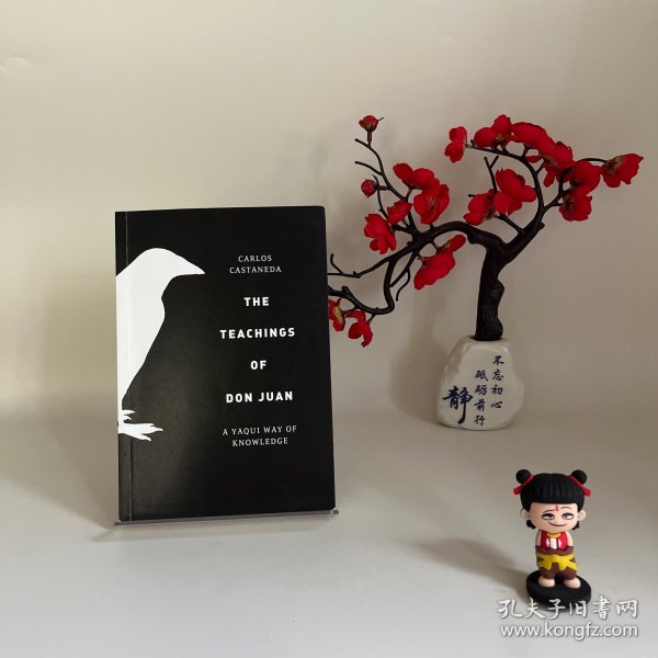 巫士唐望的教诲：踏上心灵秘境之旅