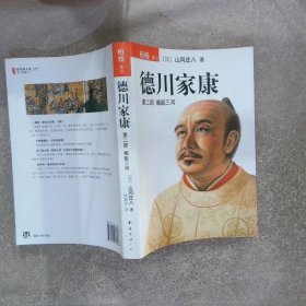 德川家康第二部：崛起三河