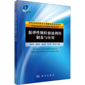 黏弹颗粒驱油剂的制备与应用【正版新书】