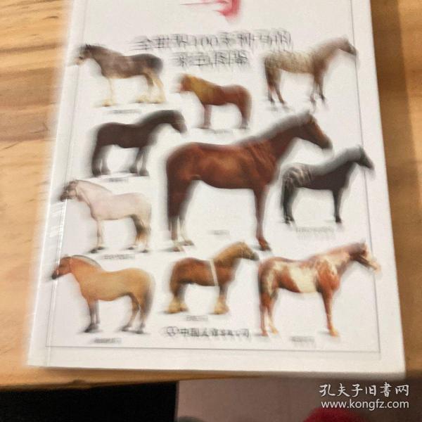 马：全世界100多种马匹的彩色图鉴