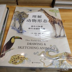 理解动物形态：画出立体感和生动感的关键