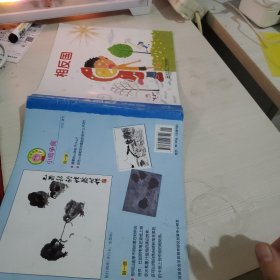 小袋鼠,