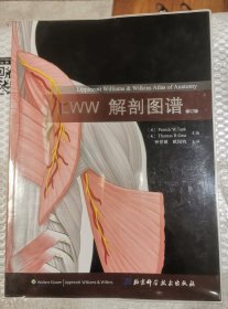 LWW解剖图谱