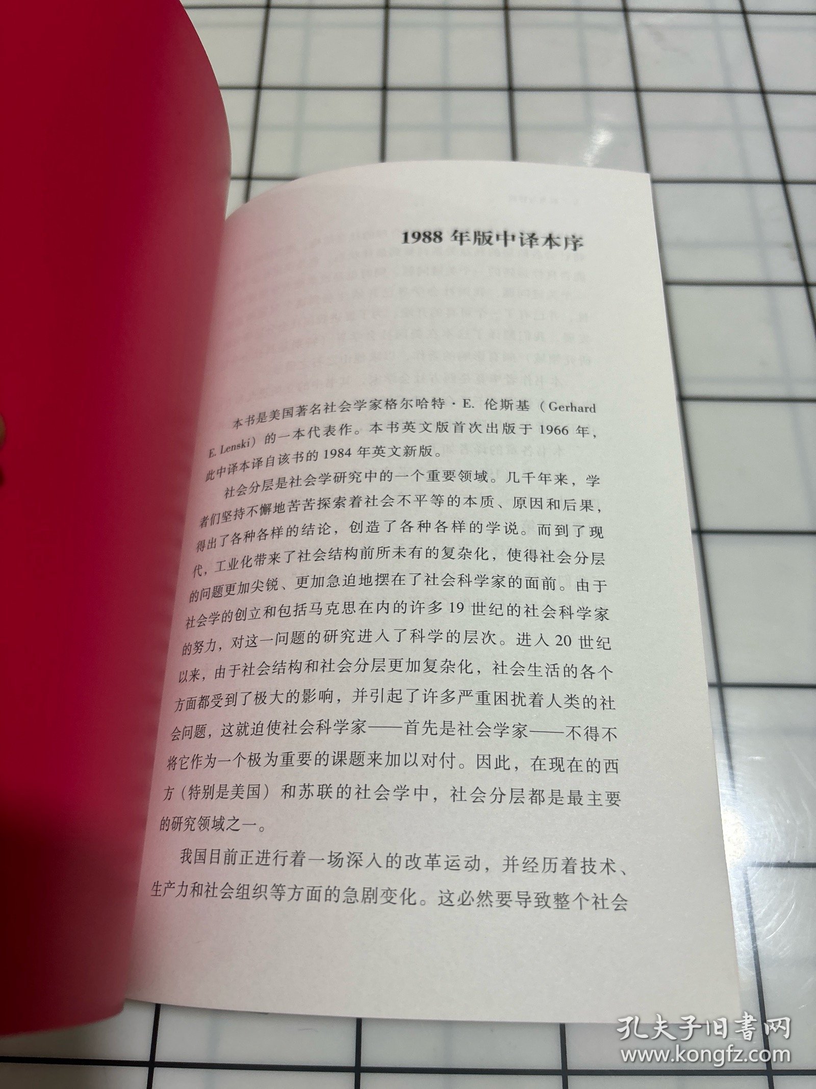 权力与特权:社会分层的理论