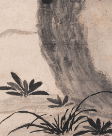 沈周蕉石图 轴。纸本大小57*135厘米。宣纸艺术微喷复制。175元包邮