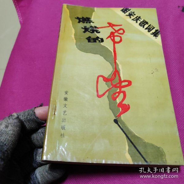 谢安庆歌词集