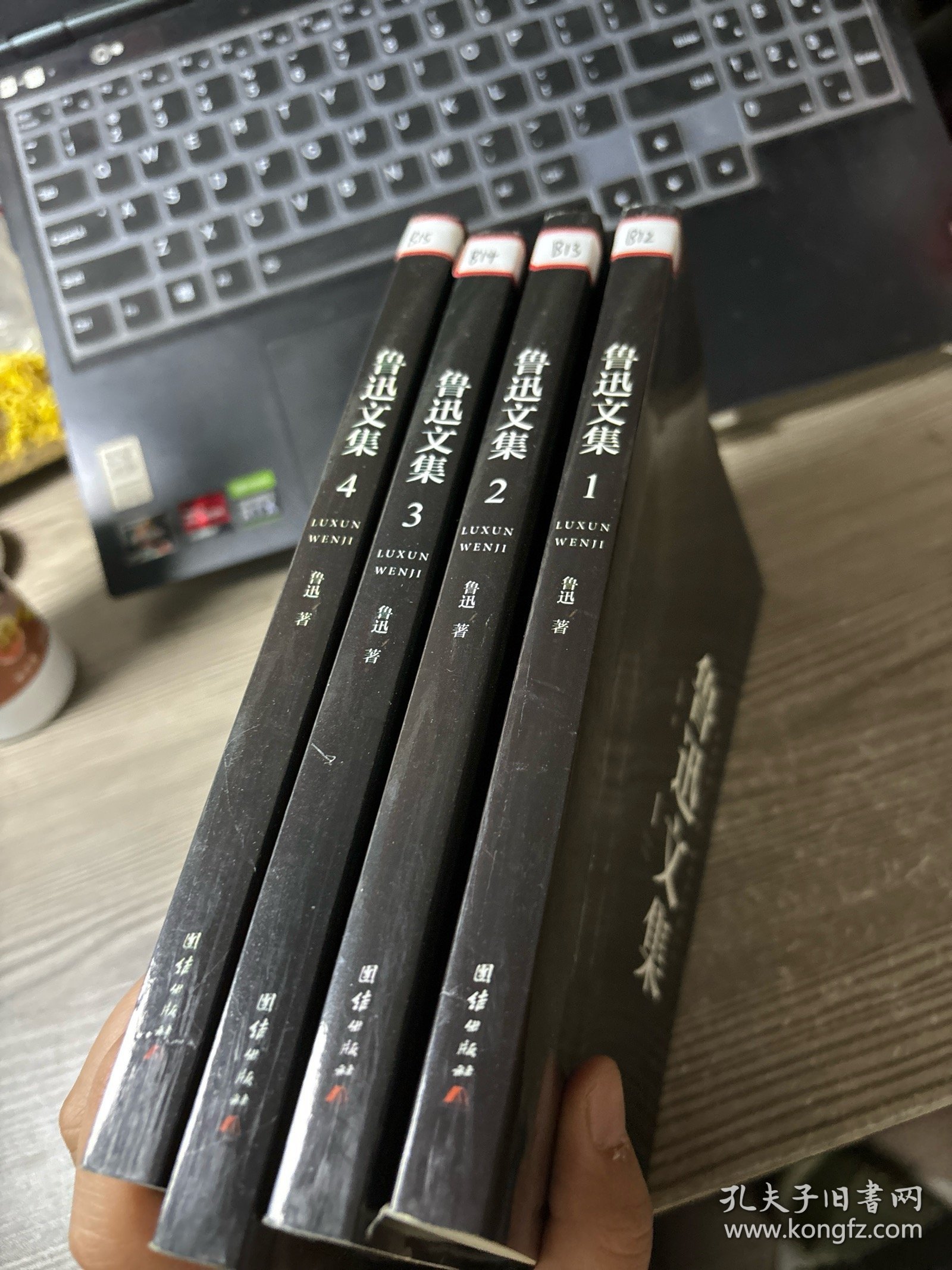 彩色详解 鲁迅文集（套装4册）