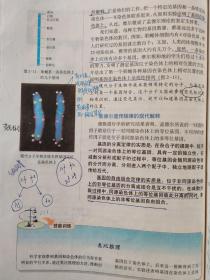 普通高中课程标准实验教科书    生物② （必 修） 遗传与进化（注意品相，请慎拍！）