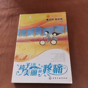 新经典文学读本椅子上的美丽和疼痛