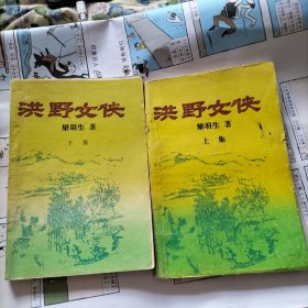 洪野女侠(上下)武侠