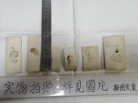 黑白照片(沈阳红旗广场毛主席塑像）等六张照片合售