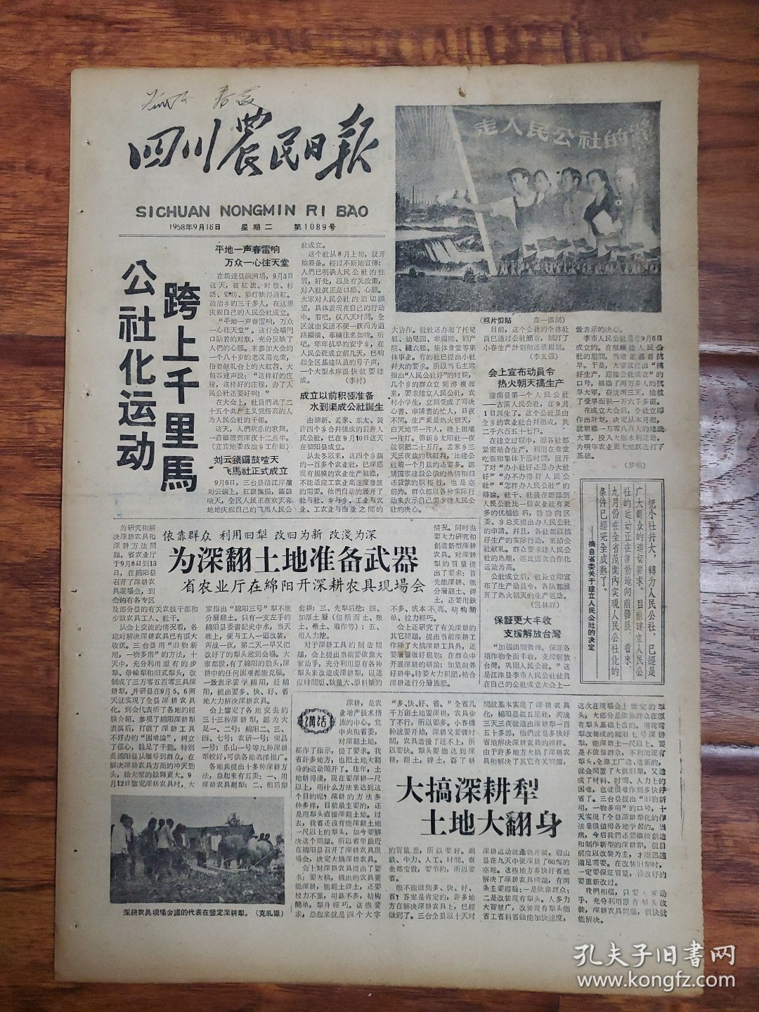 四川农民日报1958.9.16