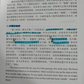 高等学校翻译专业本科教材：文学翻译