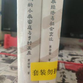 大学问·黄宗智中国社会经济史研究代表作：长江三角洲的小农家庭与乡村发展（列文森奖获奖图书，周锡瑞、怀默霆、周黎安重点评介。了解中国经济史和明清以来中国史的经典著作。）