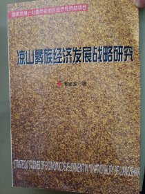 凉山彝族经济发展战略研究