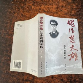 魂作楚天雄：刘少卿将军传