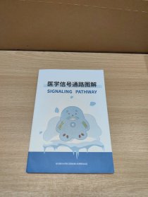 医学信号通路图解