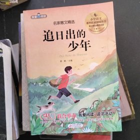 追日出的少年