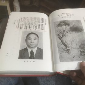 实用中国针灸经穴学