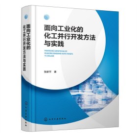 面向工业化的化工并行开发方法与实践