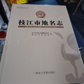 枝江市地名志【大16开精装全新未拆封】