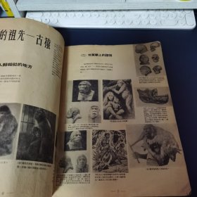 少见 1951年大10开《中国社会发展史画集》上册