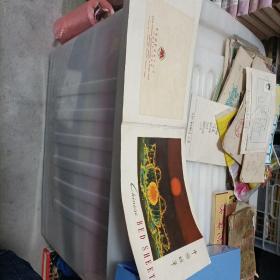 中国被单(中国服装进出口公司)