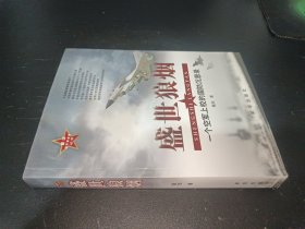 盛世狼烟：一个空军上校的国防沉思录