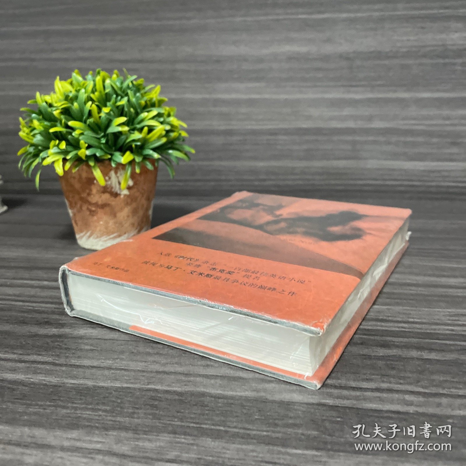 金钱：绝命书 上海译文出版社(正版库存新书)一版一印