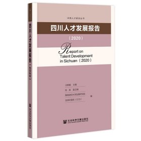 四川人才发展报告2020