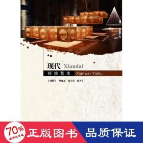 現(xiàn)代纖維藝術(shù)/劉鵬宇 大中專文科文學藝術(shù) 劉鵬宇