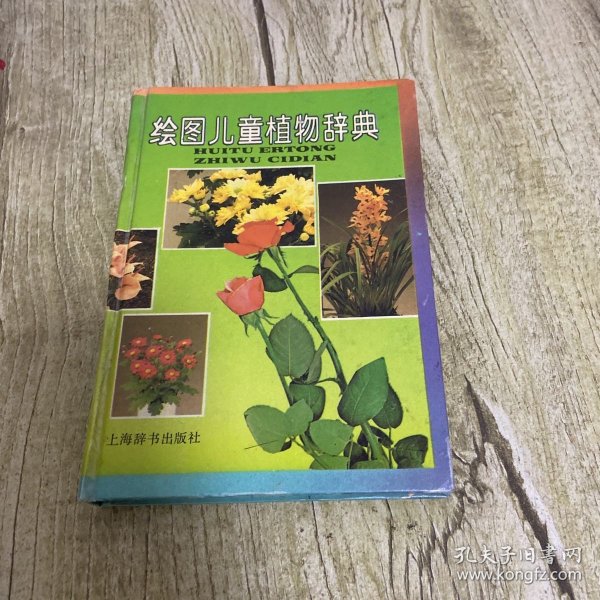 绘图儿童植物辞典