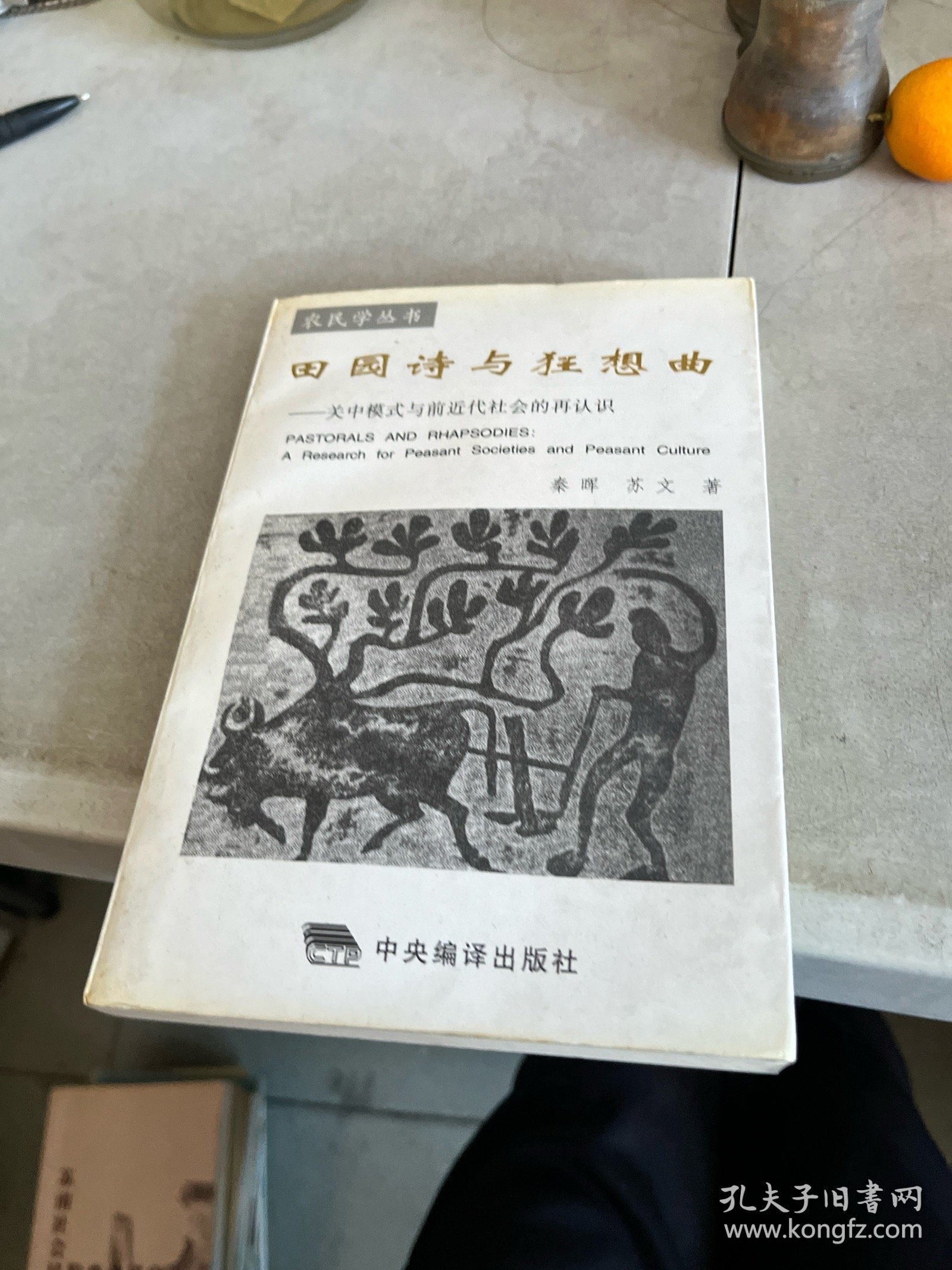 田园诗与狂想曲：关中模式与前近代社会的再认识