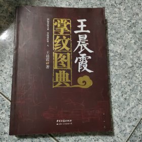 王晨霞掌纹图典   正版内页干净