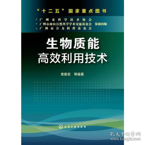 生物质能高效利用技术