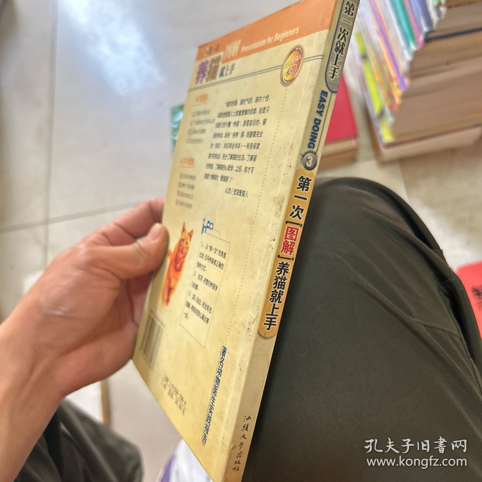 第一次养猫就上手