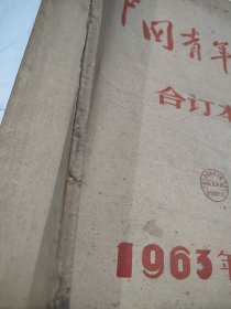 中国青年报1963年4月2日到6月29日