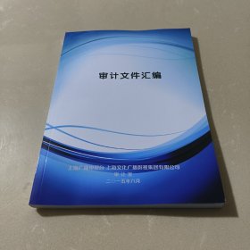 2015上海广播电视台审计文件汇编