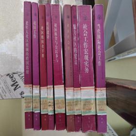 世界社区理论与实务经典丛书 9本合售