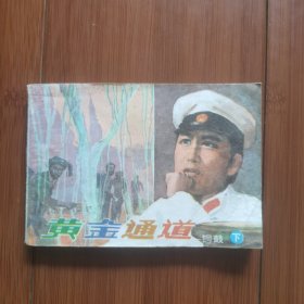 电视剧连环画：铜鼓（下）一一黄金通道