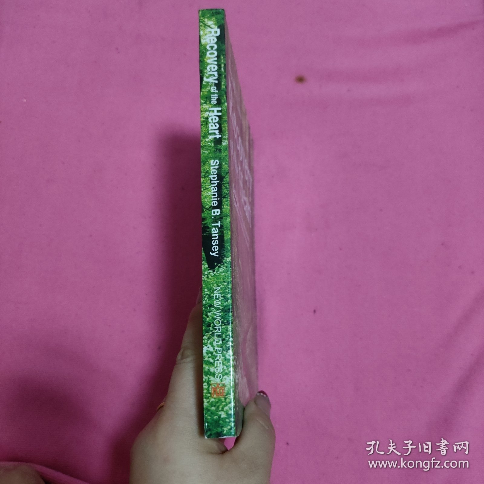 心灵的回归：北京的未来在你我手中（英文版）