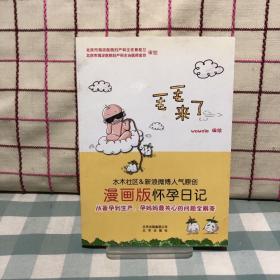 毛毛来了：漫画版怀孕日记