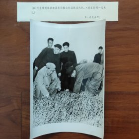 罕见毛主席老照片：1959年，毛泽东视察武清县东马圈公社豆张庄大队